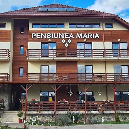 Pensiunea Maria Gilău Екстериор снимка